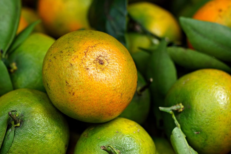 Citrus Fruit Display